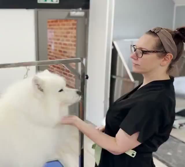 Grooming at the Upper Hound academy