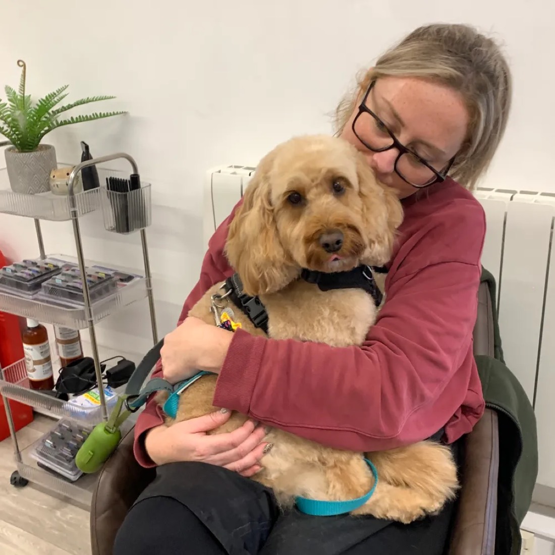 Lois holding a golden cockapoo on her lap