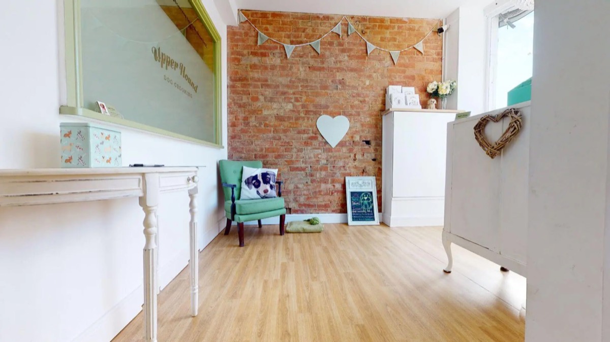 The Upper Hound salon reception, with a dog bed and a green armchair