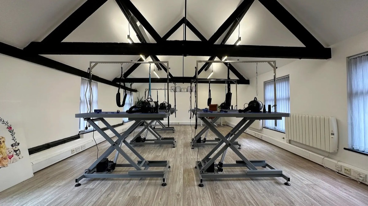 The Upper Hound training room, with rows of grooming tables